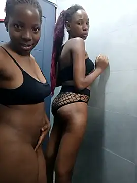  live show