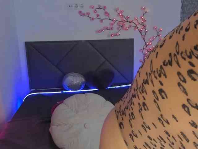  live show