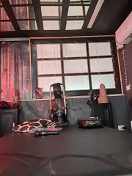  live show