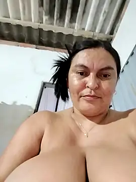  live show