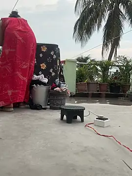  live show