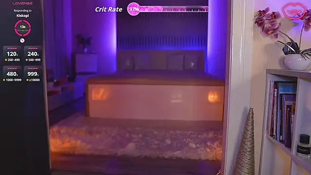  live show