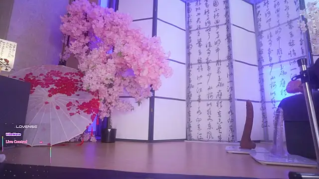  live show