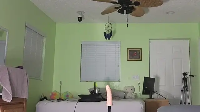  live show