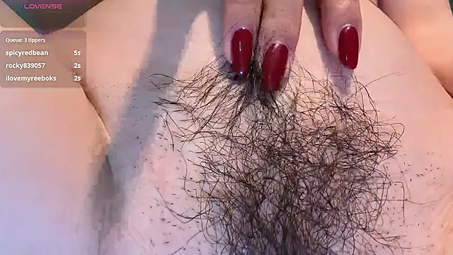  live show