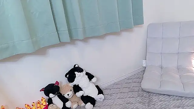  live show