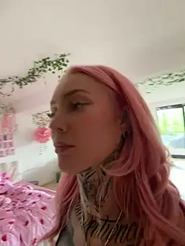  live show