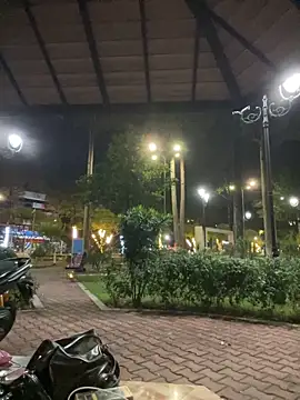  live show