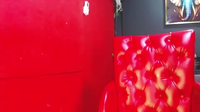  live show