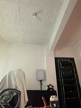  live show