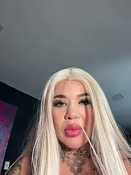  live show