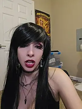  live show