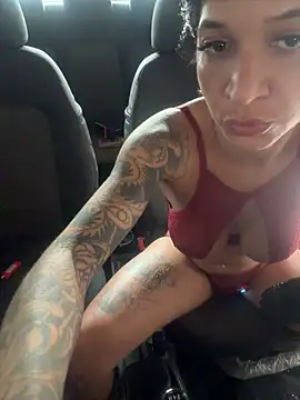  live show