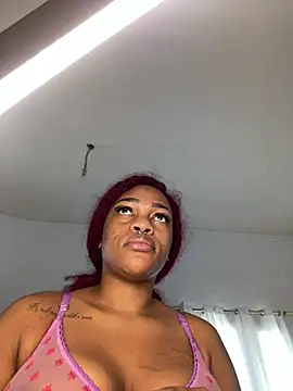  live show
