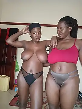  live show