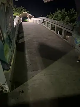  live show
