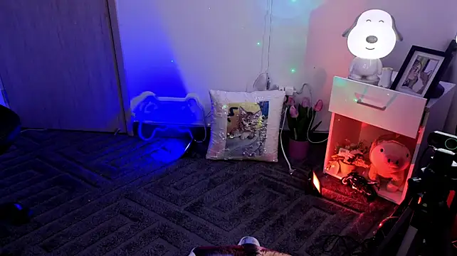  live show