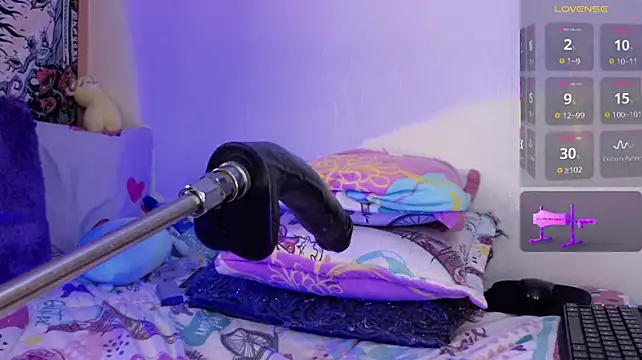  live show