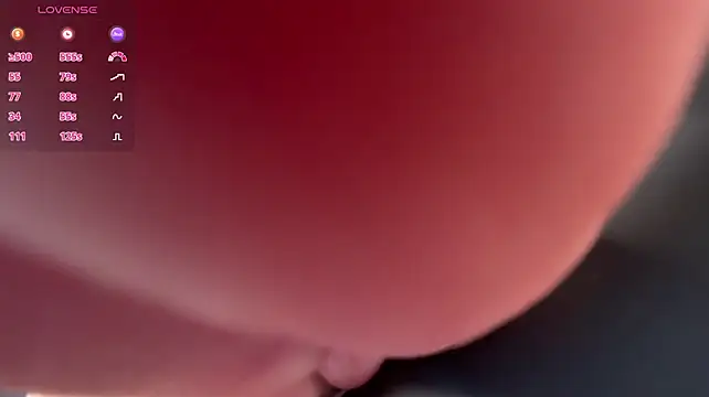  live show