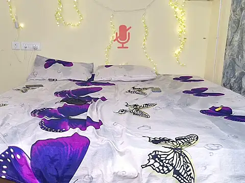  live show