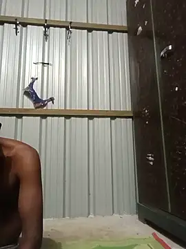  live show