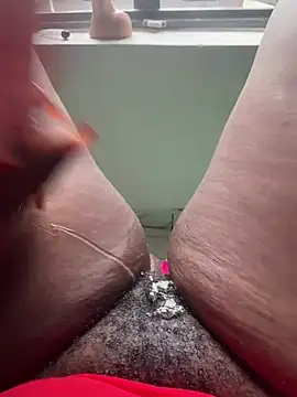  live show