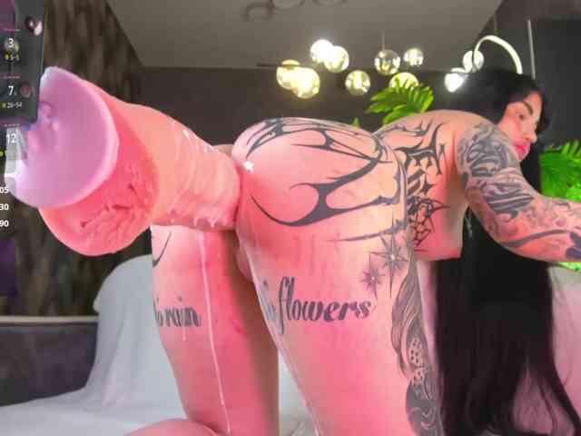  live show