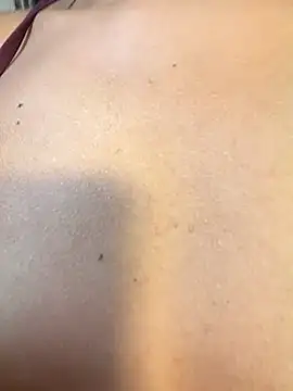  live show