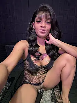  live show