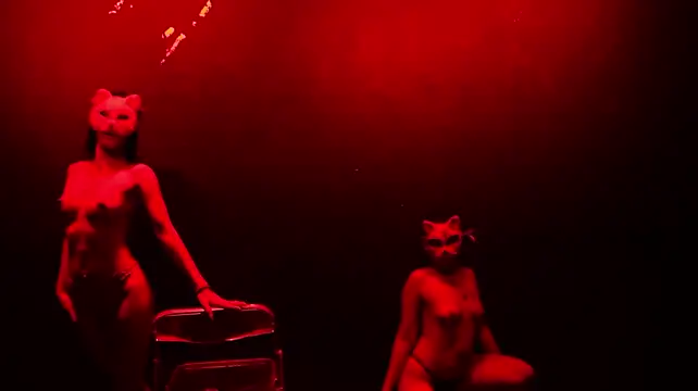  live show