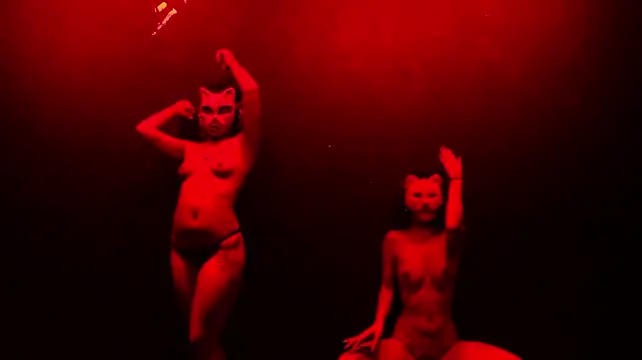  live show