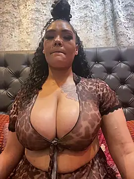  live show