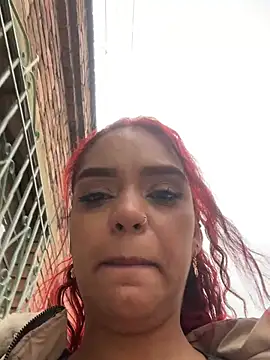  live show