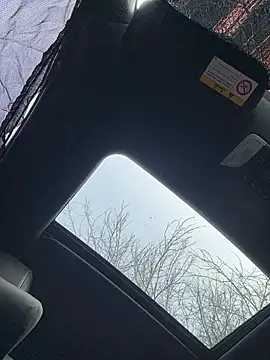  live show