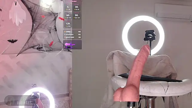  live show
