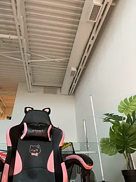 live show