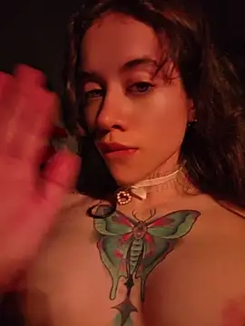  live show