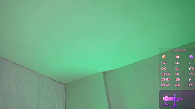  live show