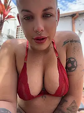  live show