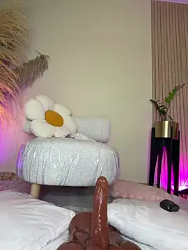  live show