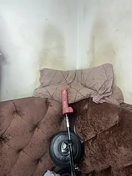  live show