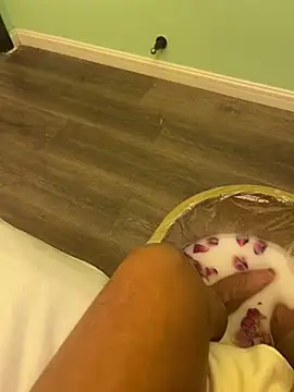  live show