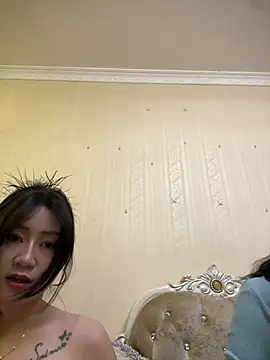  live show