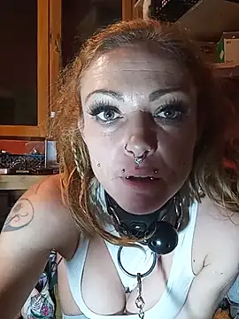  live show
