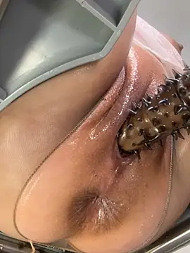  live show
