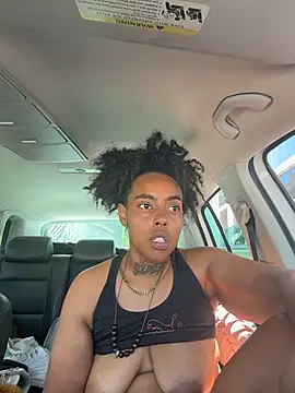  live show