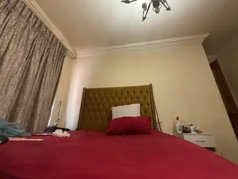  live show